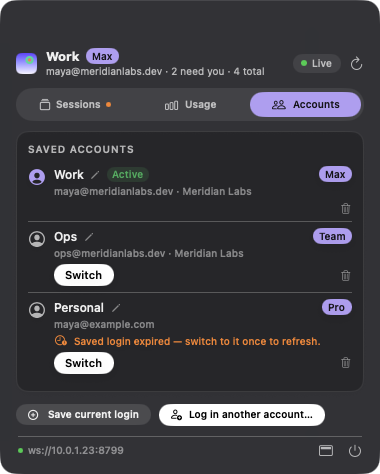 Multi-account switching with per-account usage