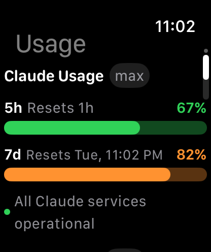Usage windows on the watch